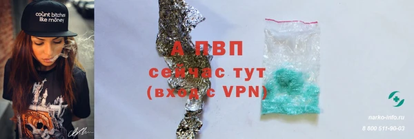 индика Михайловск