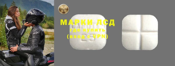 индика Михайловск