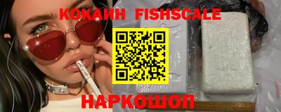 индика Пенза