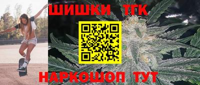 индика Пенза