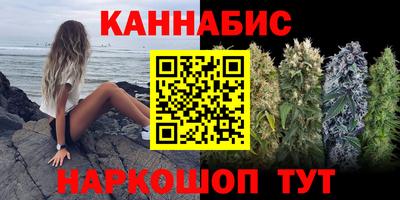 индика Пенза