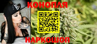 индика Пенза