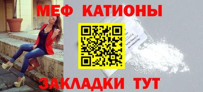 индика Пенза