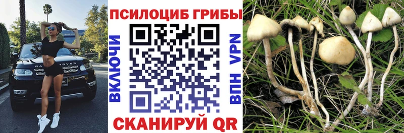 Псилоцибиновые грибы GOLDEN TEACHER Рубцовск