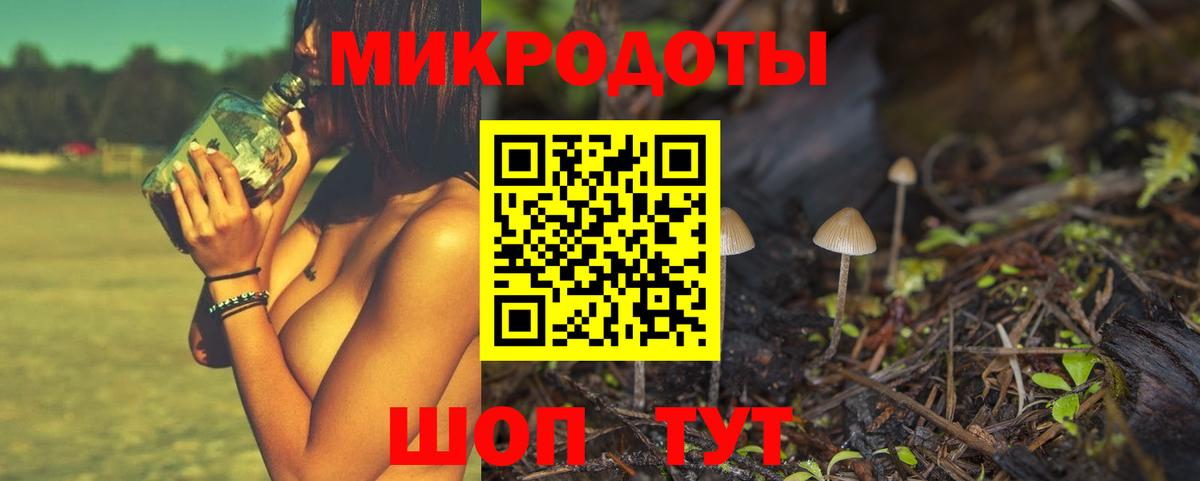 Галлюциногенные грибы Psilocybine cubensis  Галлюциногенные грибы мицелий  Вход с VPN  Рубцовск 