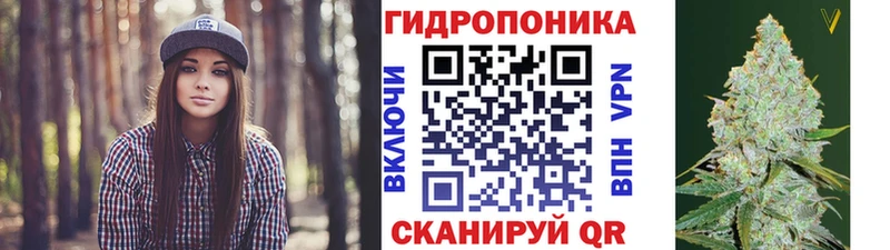 Шишки марихуана марихуана  Рубцовск 
